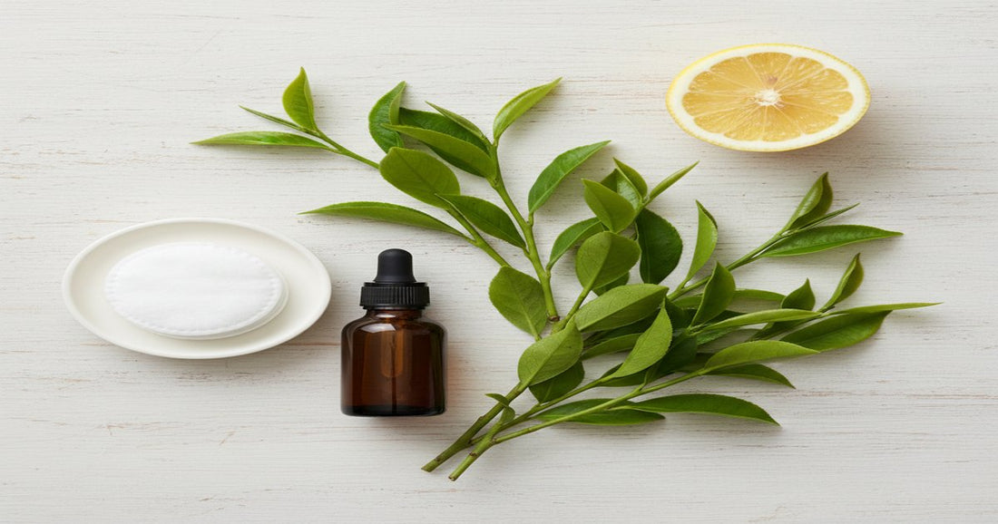 Aceite Esencial de Árbol de Té: Beneficios y Usos en el Hogar