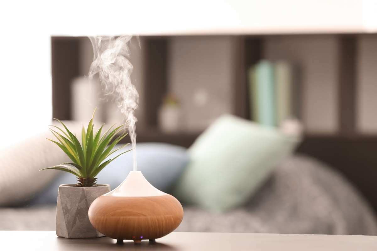 Fragancias y aceites: cómo transformar tu hogar con aromas naturales