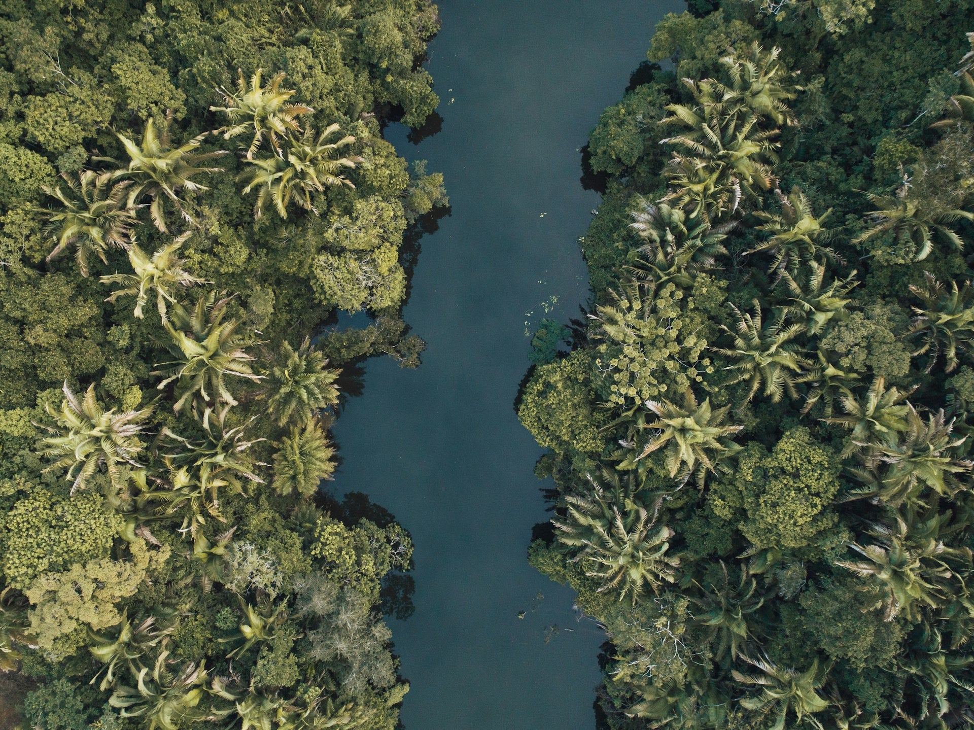 Nuestro compromiso con el medio ambiente: naturaleza colombiana y biodiversidad